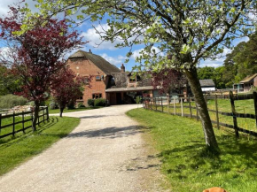 Beautiful 1-Bed Apartment in Wareham Dorset